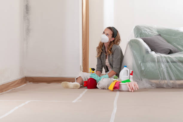 Reliable Black Mold Removal contractor in Frostburg, MD by WQB Mold Removal
